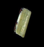 /album/galerie-photos/moun-caou-mineraux-indetermines-9-jpg/
